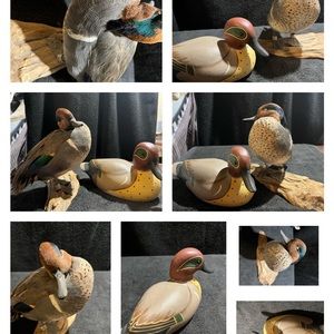 Teal Duck decoy and mount